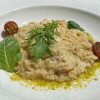 Ризотто с белыми грибами в Wine & Vine