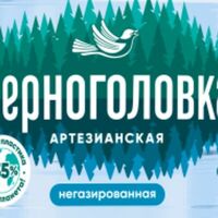 Артезианская негазированная вода Черноголовка в Кококорнер