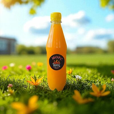 Морс облепиховый 1 л в Мангал хаус по цене 297 ₽