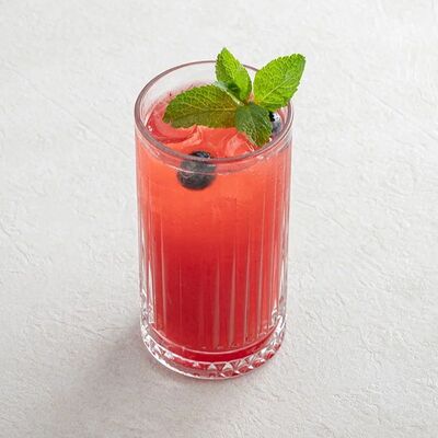 Лимонад Зимний сад в На Парах по цене 320