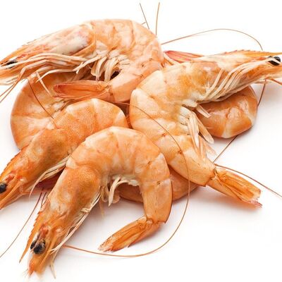 Замороженные королевские креветки в Свежая устрица по цене 918 ₽