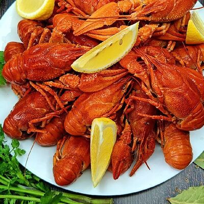 Раки размер S рецепт на темном нефильтрованном эле в Раковарня FiSH&CRAB - 1 по цене 4770 ₽