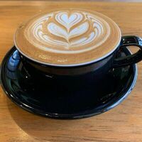 Логотип Coffee Tree Shop