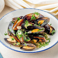 Логотип Shengen+