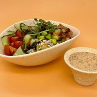 Боул с лососемв Native