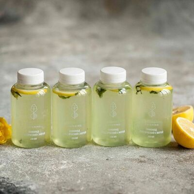 Классический лимонад с мятой, 5 бутылочек по 250 мл в Svekla Catering по цене 1200 ₽