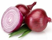 Лук красный в Чентуриппе