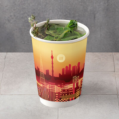 Травяной чай в Шоколадница по цене 270 ₽