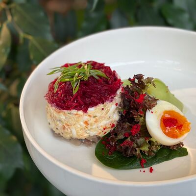 Сельдь под шубой от шефа в Pellegrino по цене 595 ₽