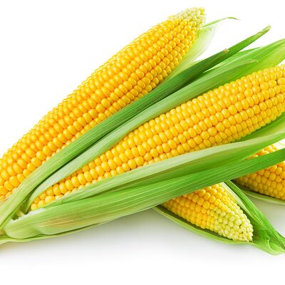 Кукуруза в початках в Зелёный Домик по цене 150 ₽