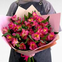 Букет из 9 альстромерий №70 в Arsentev Flowers