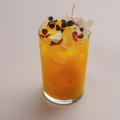 Миядзаки 0,35 л в Филадельфия по цене 335 ₽