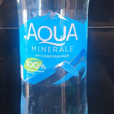 Aqua Minerale негазированная в Шашлык на Львовской по цене 120 ₽