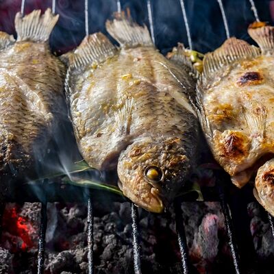 Карп на углях в Триумф по цене 450 ₽