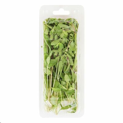 Майоран в Азбука Вкуса Экспресс Меню по цене 178 ₽