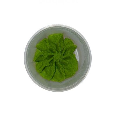 Васаби в Вкусные суши по цене 50 ₽