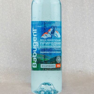 Вода без газа Бабугент в Level food по цене 60 ₽
