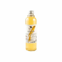 Space ginger beer б/а в ХУД