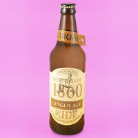 Био лимонад Имбирный с щепоткой перца Ginger Ale в Vibecream мороженое