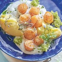 Жареные гребешки с крем-картофелем и трюфельным соусом в Черетто море