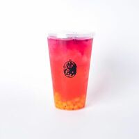 Питахайя манго M в TEE CAT BUBBLE TEA