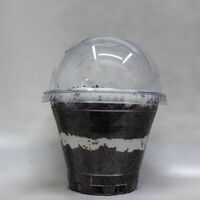 Трайфл Шоколадный в Caffeine