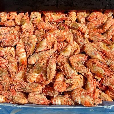 Креветка дракон в Раки Кусаки по цене 4000 ₽