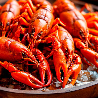 Варёные раки XL в РАКИДОНА по цене 2800 ₽