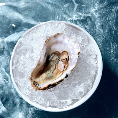 Устрица Дальневосточная в GASTROFISH по цене 370