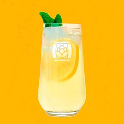 Лимонад Дюшес в Бирвайн по цене 195 ₽