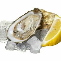 Устрица открытая Люмьер в Delivery-Oyster