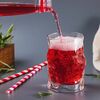 Комбуча рэд в Биоферма по цене 190