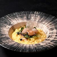 Ризотто с морским гребешком в Domum