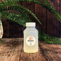 Морс Имбирный собственного приготовления в Море Лосося