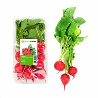 Редис с ботвой в Азбука Вкуса Экспресс Меню