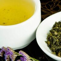 Cенча Standart в CoffeeFact