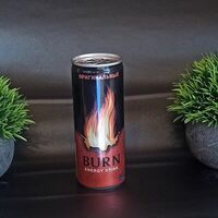 Burn energy drink Оригинальный в Сытый Хищник