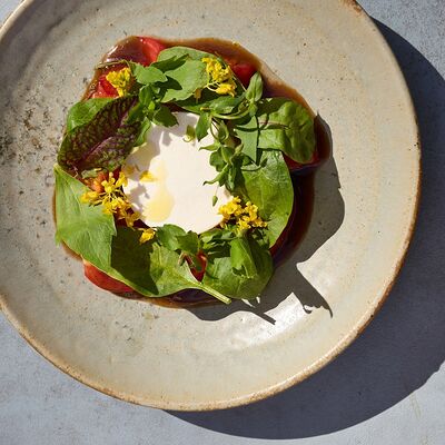 Томаты и панна-котта из пажитника в 0.75 please Moscow по цене 980 ₽