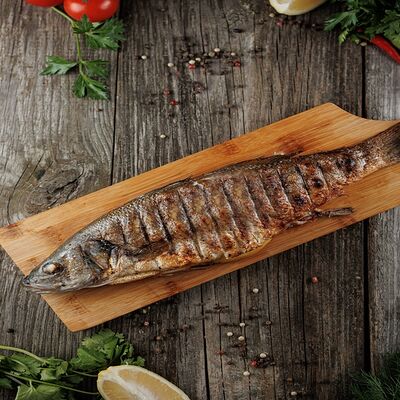 Сибас на мангале в Шашлычная Сытый Лис по цене 890 ₽