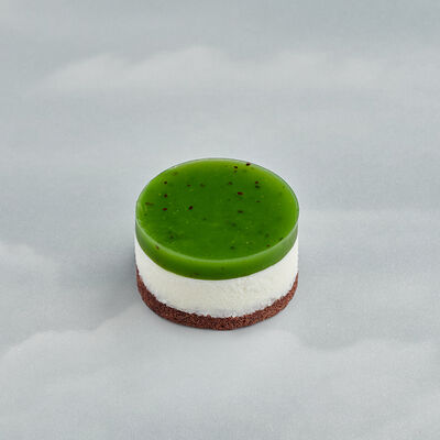 Рикотти Киви в Буше по цене 275 ₽