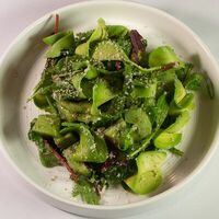 Зеленый салат с авокадо и кивив APOLLO