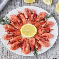 Логотип Пилигрим