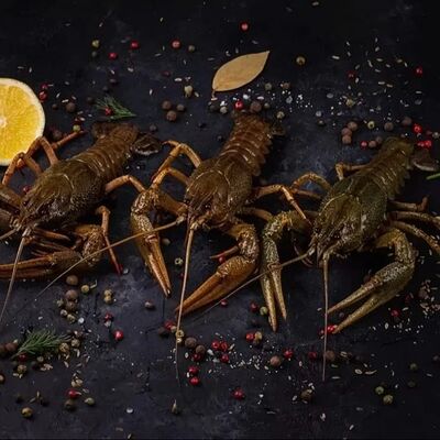 Раки отборные в LOMONOSOV RAKOVARNYA по цене 3960 ₽