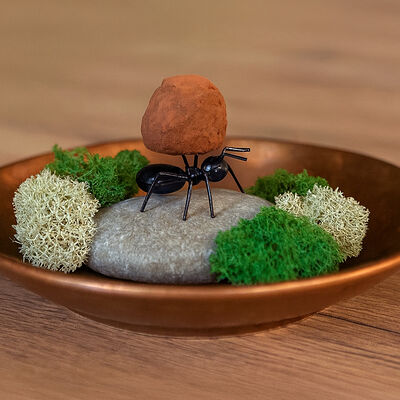 Шоколадный трюфель в Белок по цене 160 ₽