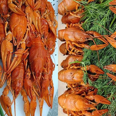 Раки размер M рецепт на темном нефильтрованном эле в Раковарня FiSH&CRAB - 1 по цене 5870 ₽