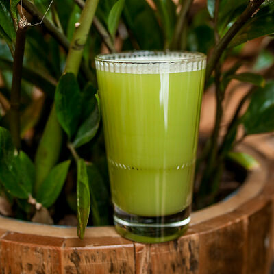 Фреш сельдереевый 0,5 л в Сыроварня по цене 550