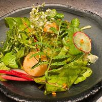 Не Большой зеленый с гребешком в Kazoku