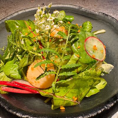 Не Большой зеленый с гребешком в Kazoku по цене 990 ₽