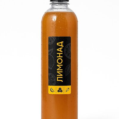 Лимонад фермерский Клюква-Апельсин в Вкус и лосось по цене 350