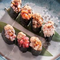 Гунканы Сибас в Черетто море